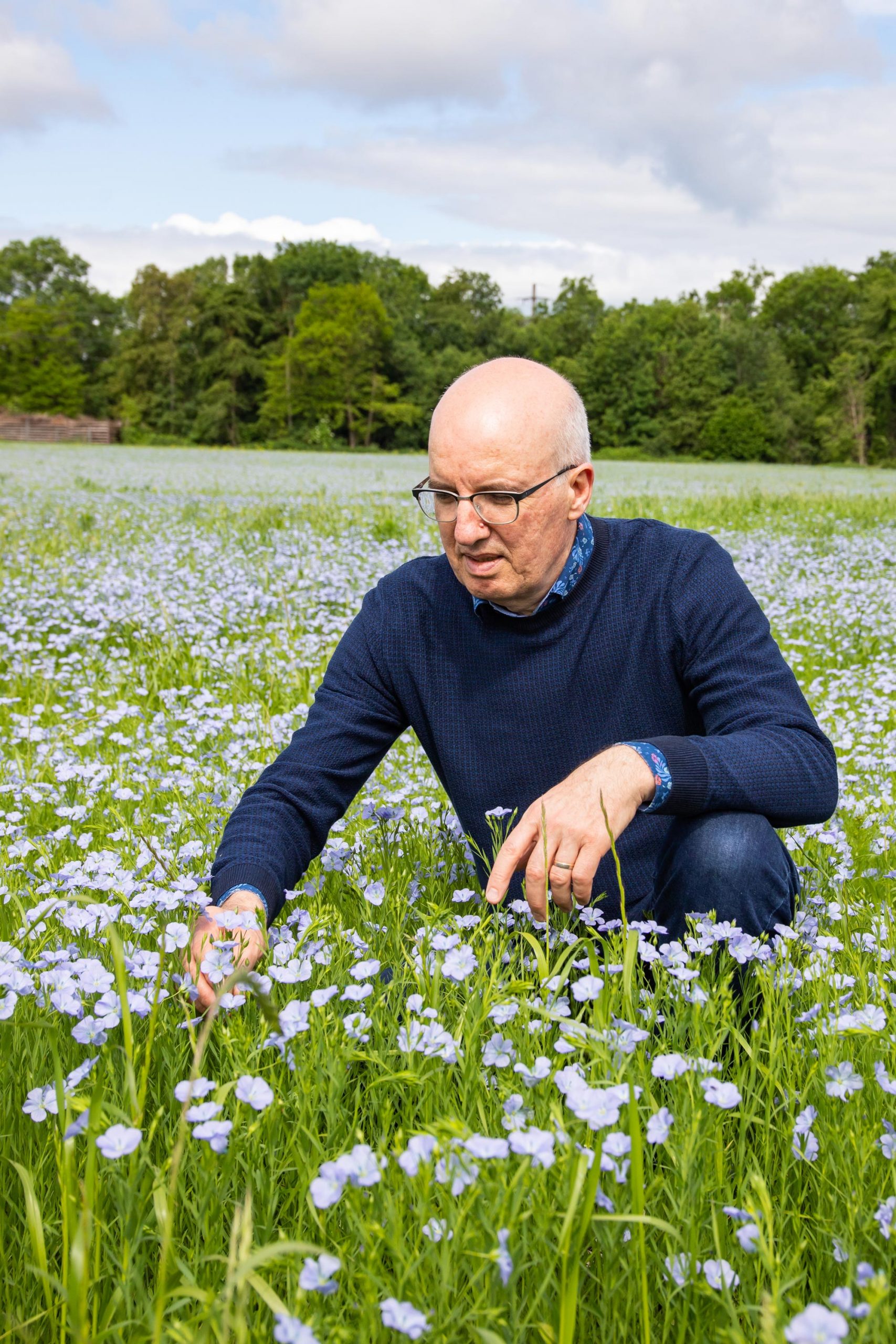 Urs Huettinger Sonnenkorn