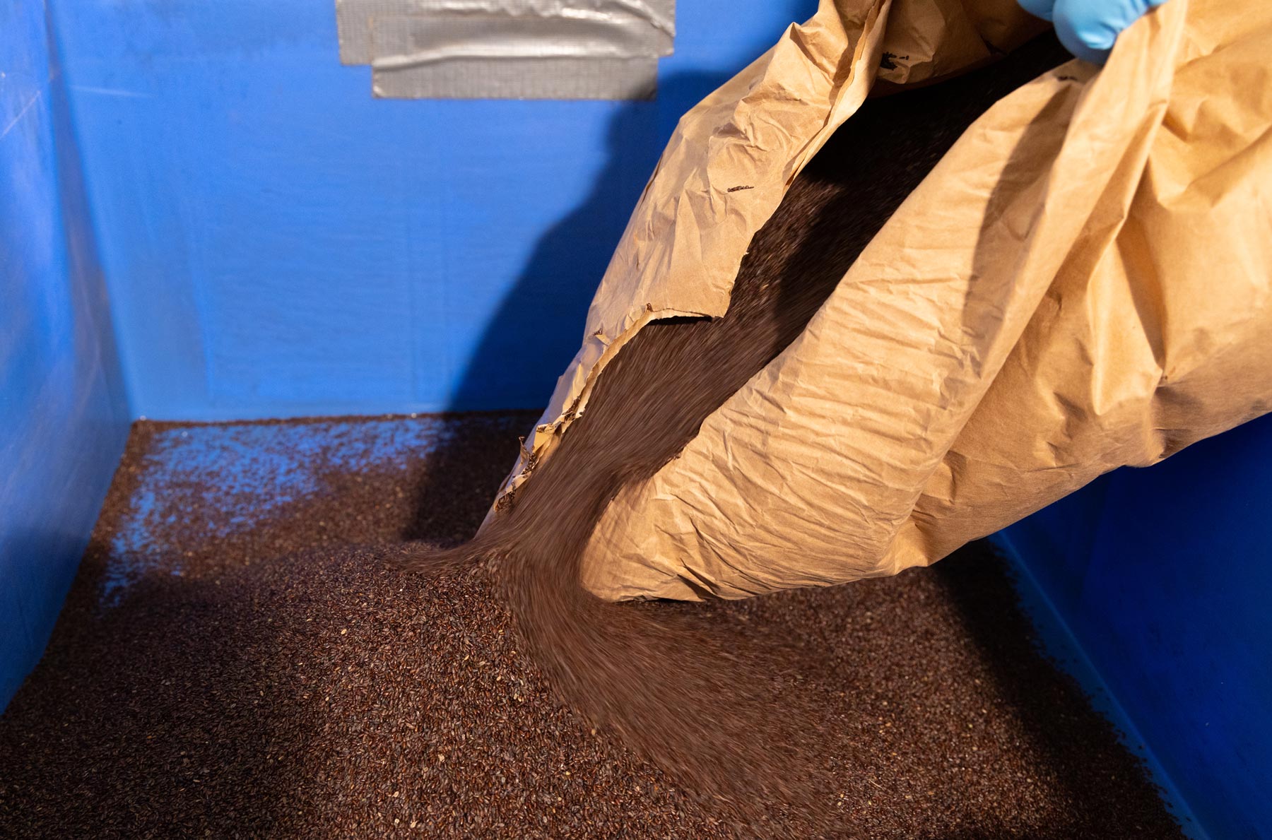 Sonnenkorn_abfuellen_1