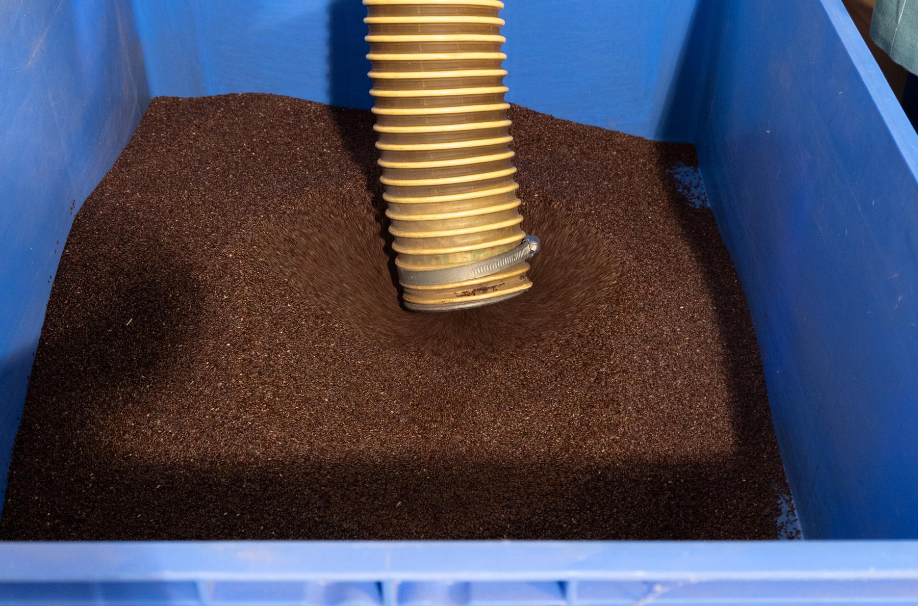 Sonnenkorn_abfuellen_2